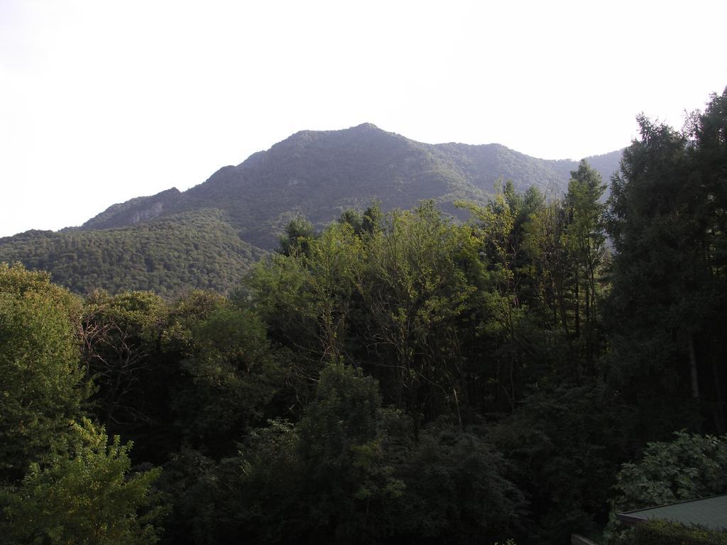 La Casa Del Borgo Bed and Breakfast Brissago-Valtravaglia Rum bild